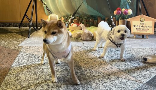 久しぶりの家族旅行、松阪わんわんパラダイスへ！