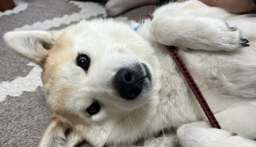 プーちゃんとの再会 ～みんなの距離感～